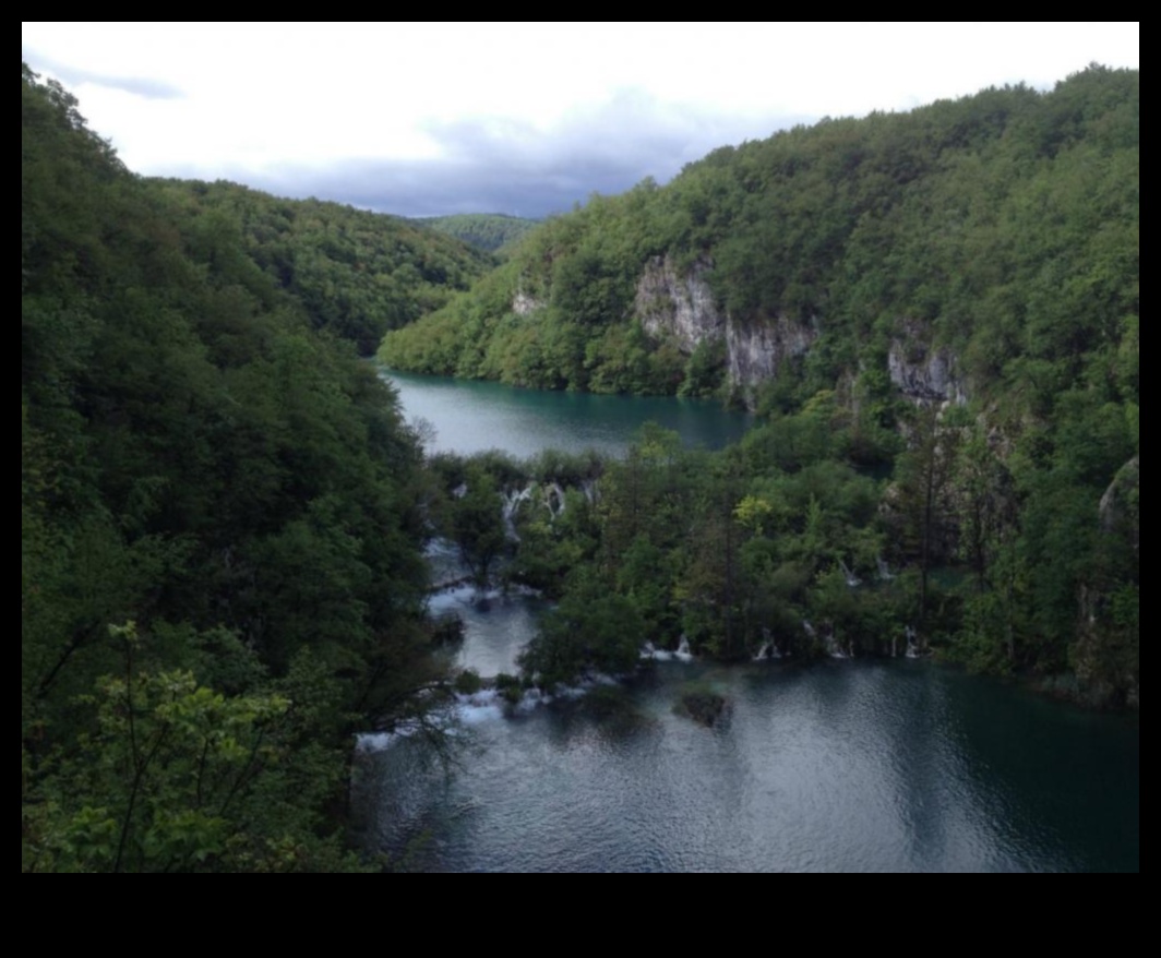 Serene Perspectives: Calm and Tranquil Landscapes