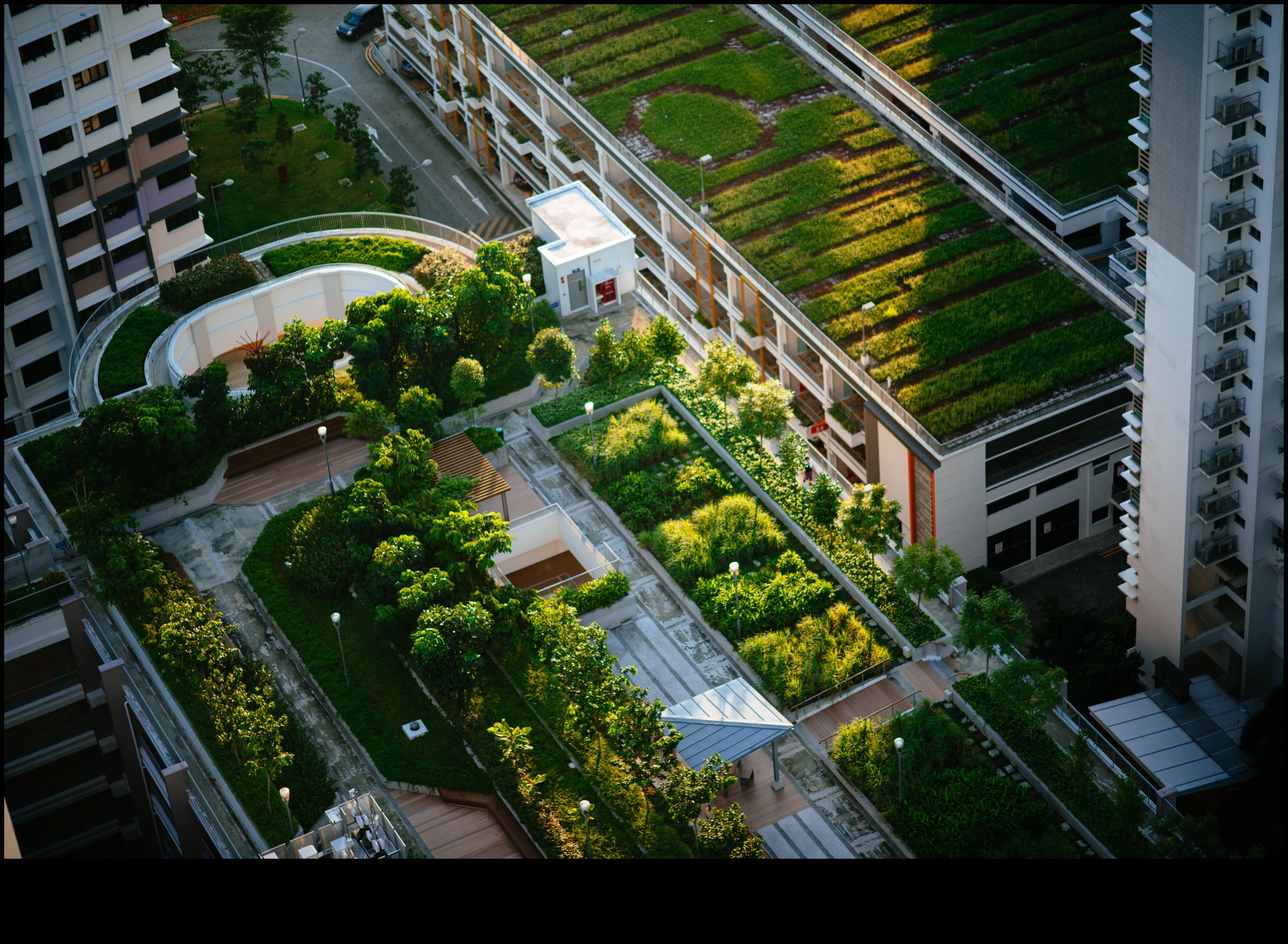 What role do urban forests play in enhancing city landscapes?