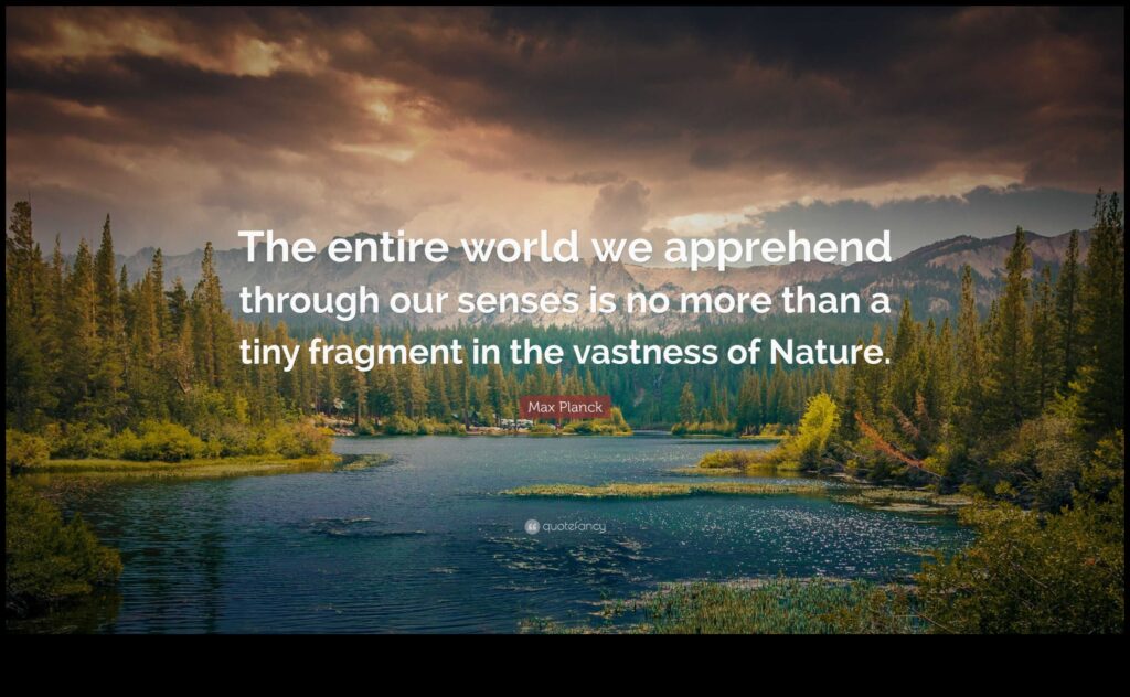 The Vastness of Nature 1