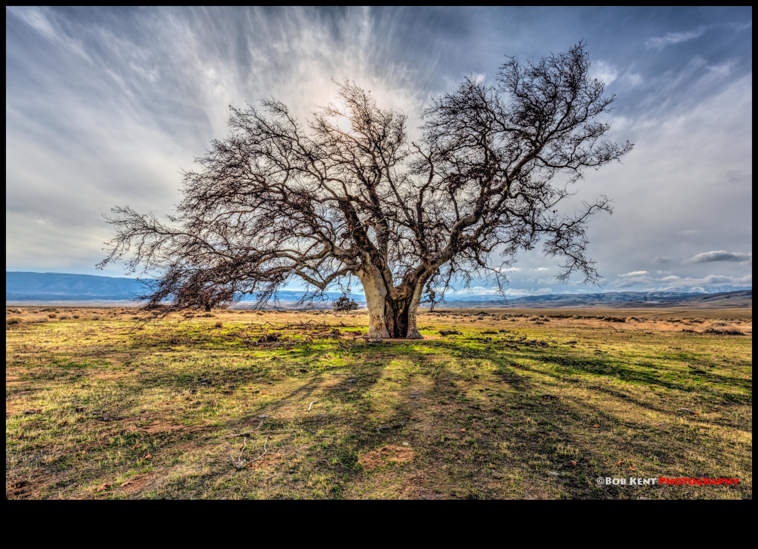Ethereal Edges: Borderless Beauty in Expansive Landscape Photography