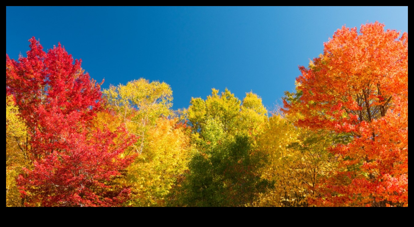 Autumnal Equinox: Fall Landscapes in Equilibrium