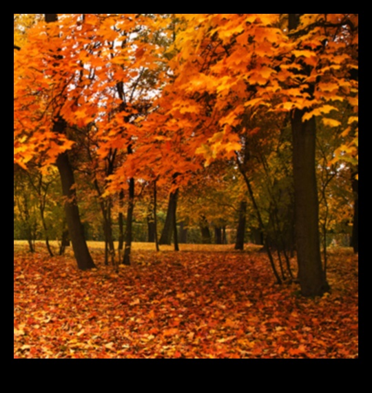 Autumnal Equinox: Fall Landscapes in Equilibrium