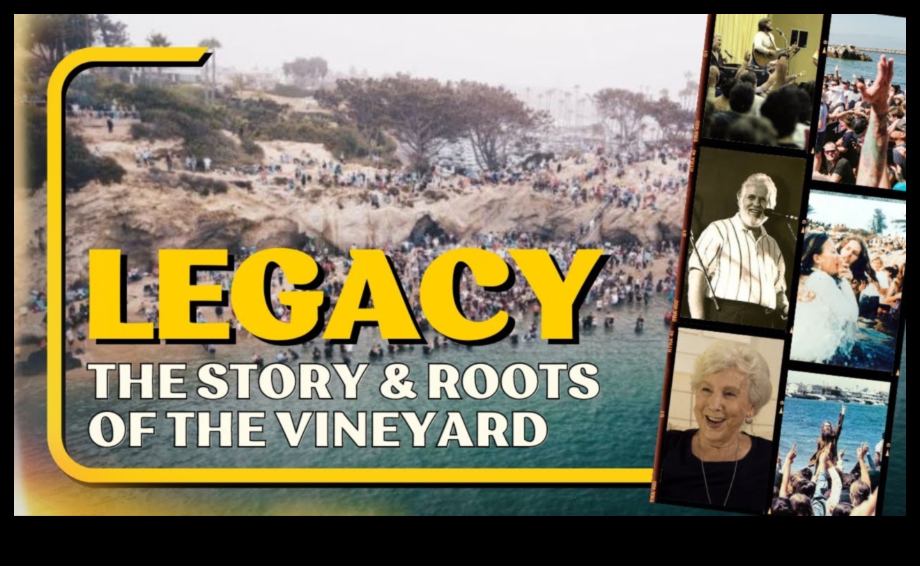 Vineyard Vistas: Exploring the Artistry of Vineyards and Orchards