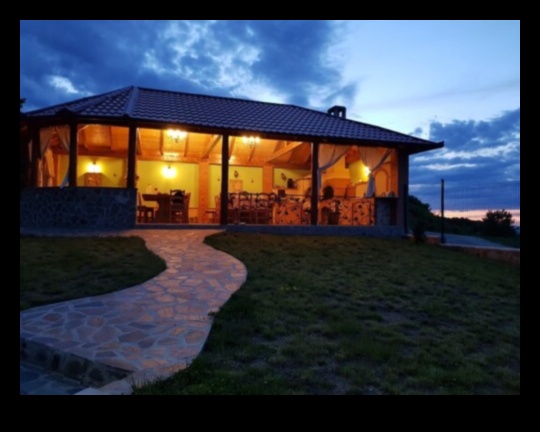 The Vineyard A Place of Peace and Tranquility 1