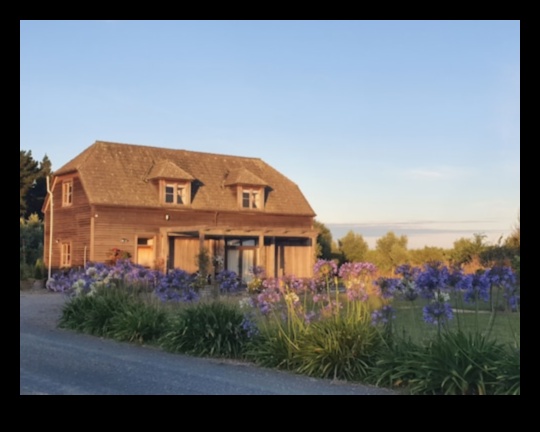 Vintner's Vision: The Beauty of Vineyards and Orchards