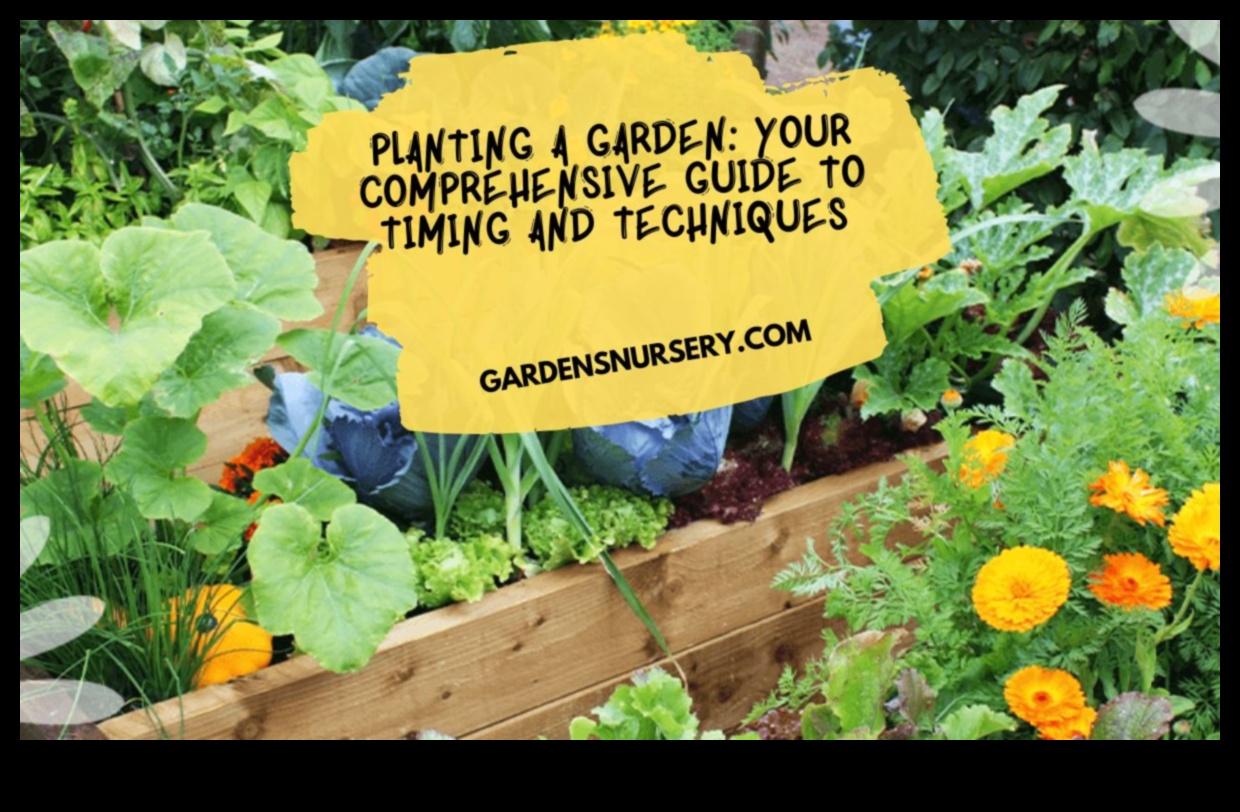 Thriving Gardens: Nurturing Your Outdoor Haven with Maintenance