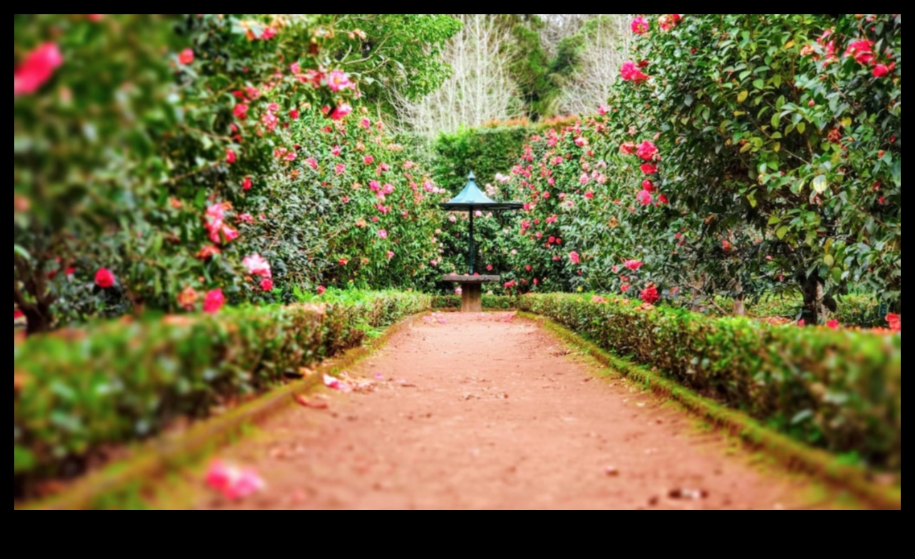 Thriving Gardens: Nurturing Your Outdoor Haven with Maintenance