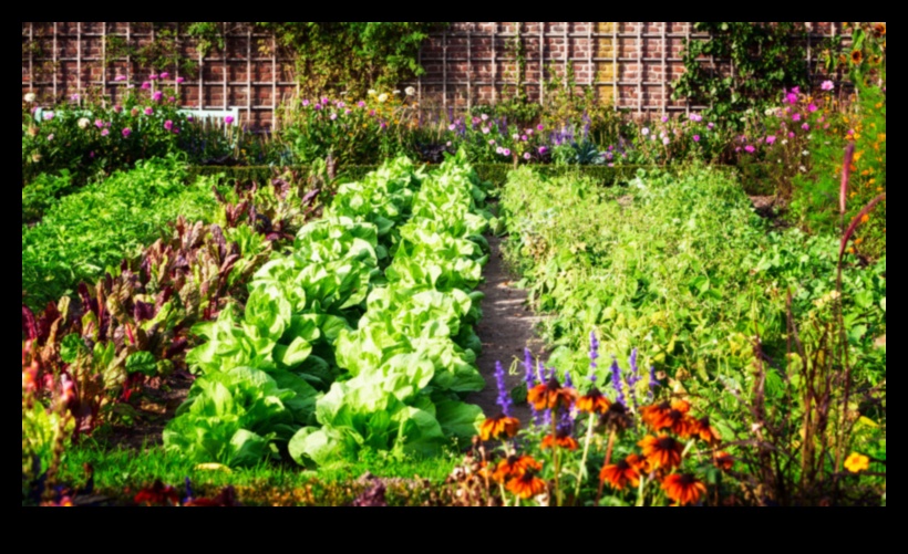 Thriving Gardens Begin Here: Essential Equipment Unveiled