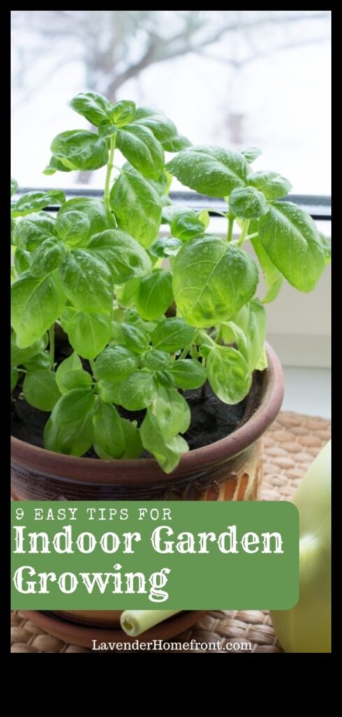 Thriving Indoors 7 Essential Tips for Indoor Gardening 1