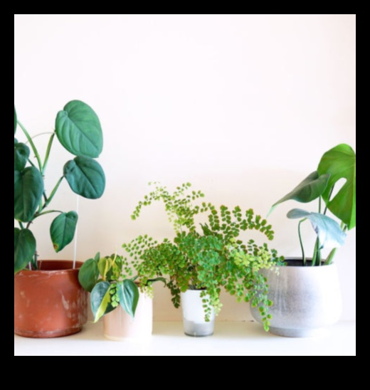 Thriving Indoors: Essential Tips for Indoor Gardening