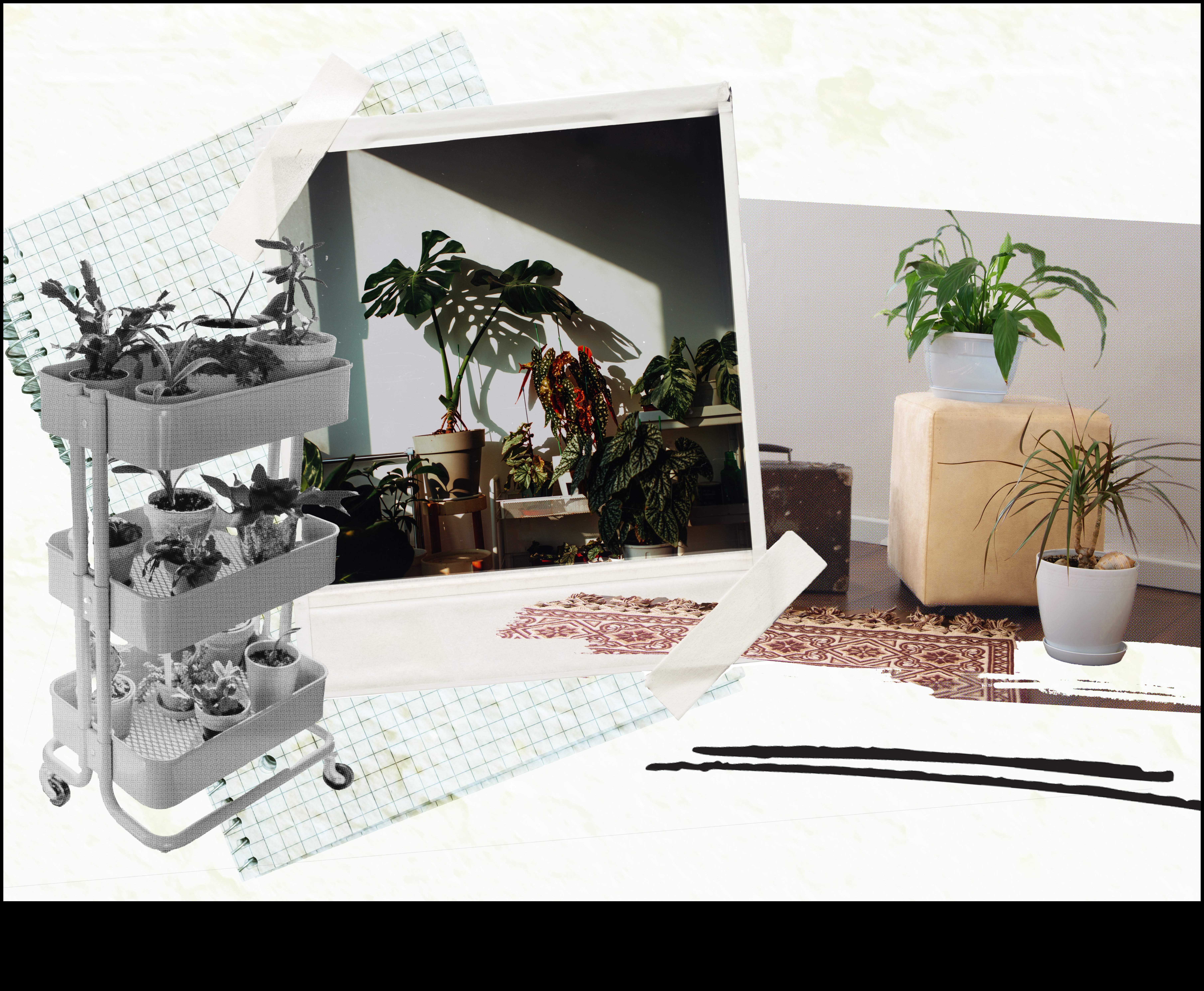 Thriving Indoors: Essential Tips for Indoor Gardening