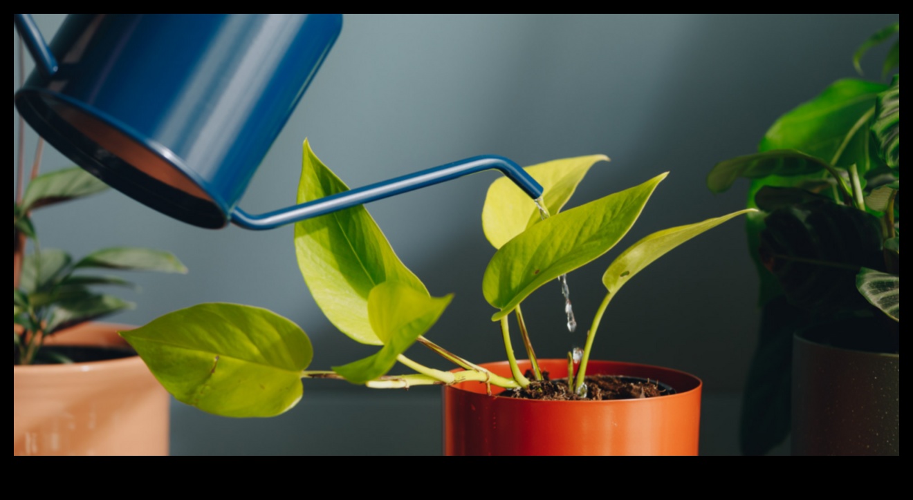 Thriving Naturally: Mastering Organic Gardening Secrets