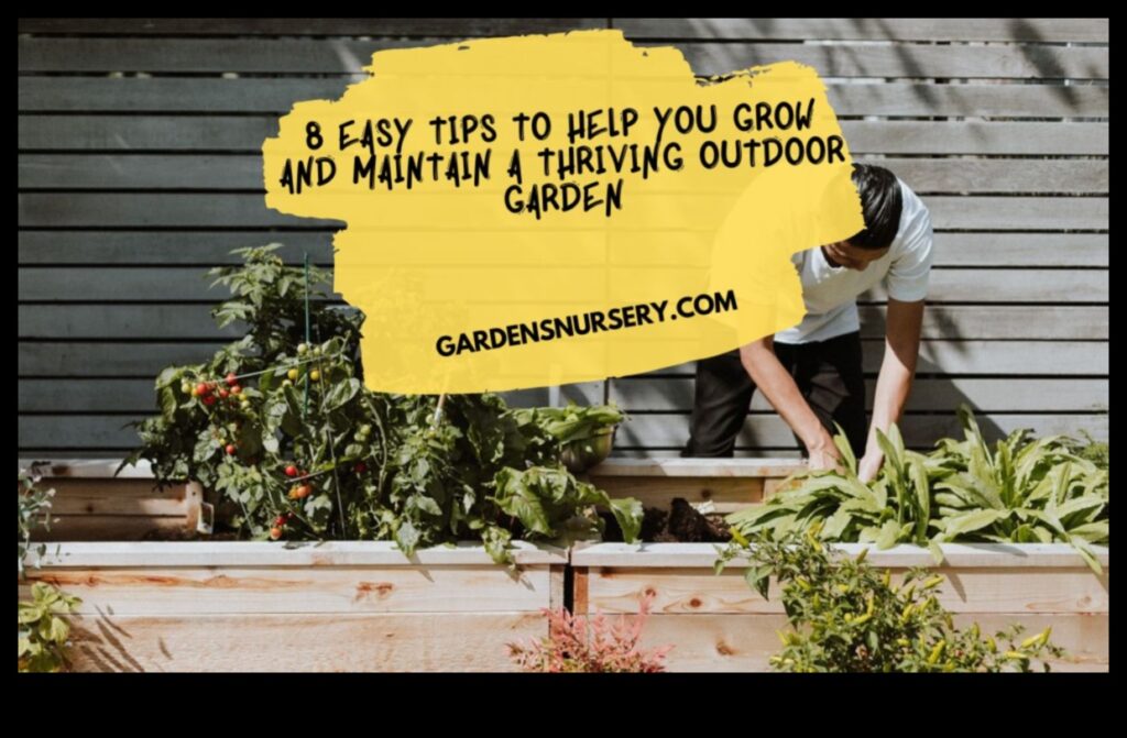 Thriving Outdoors 5 Pro Tips for a Resplendent Garden 1