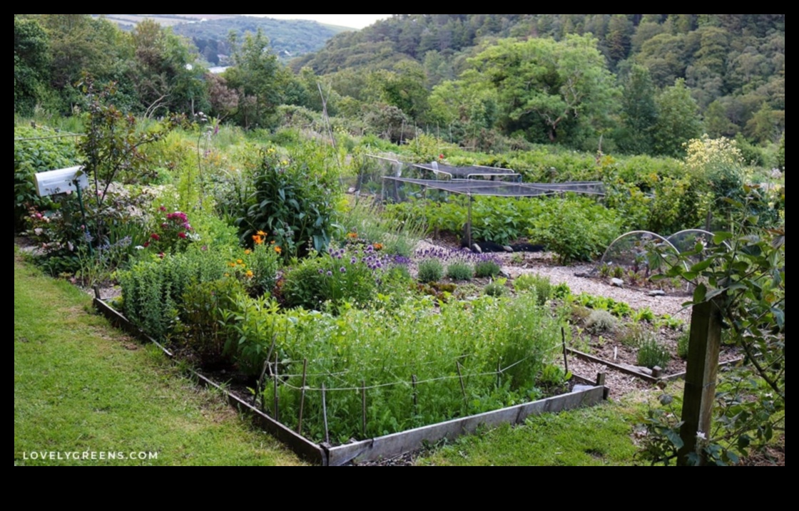 Thriving Outdoors: Pro Tips for a Resplendent Garden