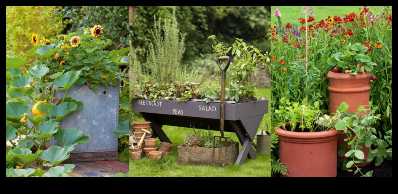 Thriving in Tight Spaces: Container Gardening Delights