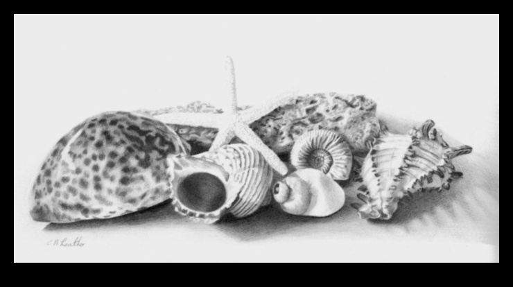 Timeless Charm Still Life in Classic Pencil 1 Timeless Charm: Still Life in Classic Pencil