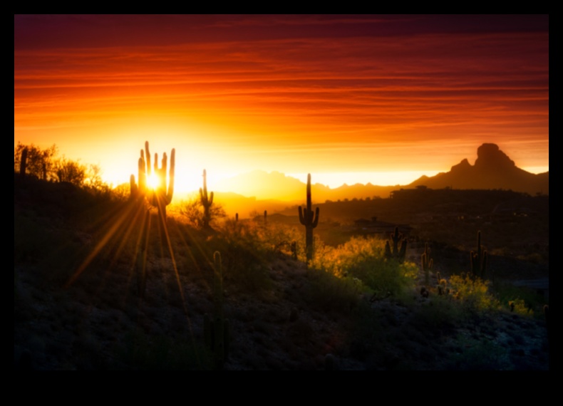 Timeless Tranquility: Classic and Enduring Beauty in Landscape Photography