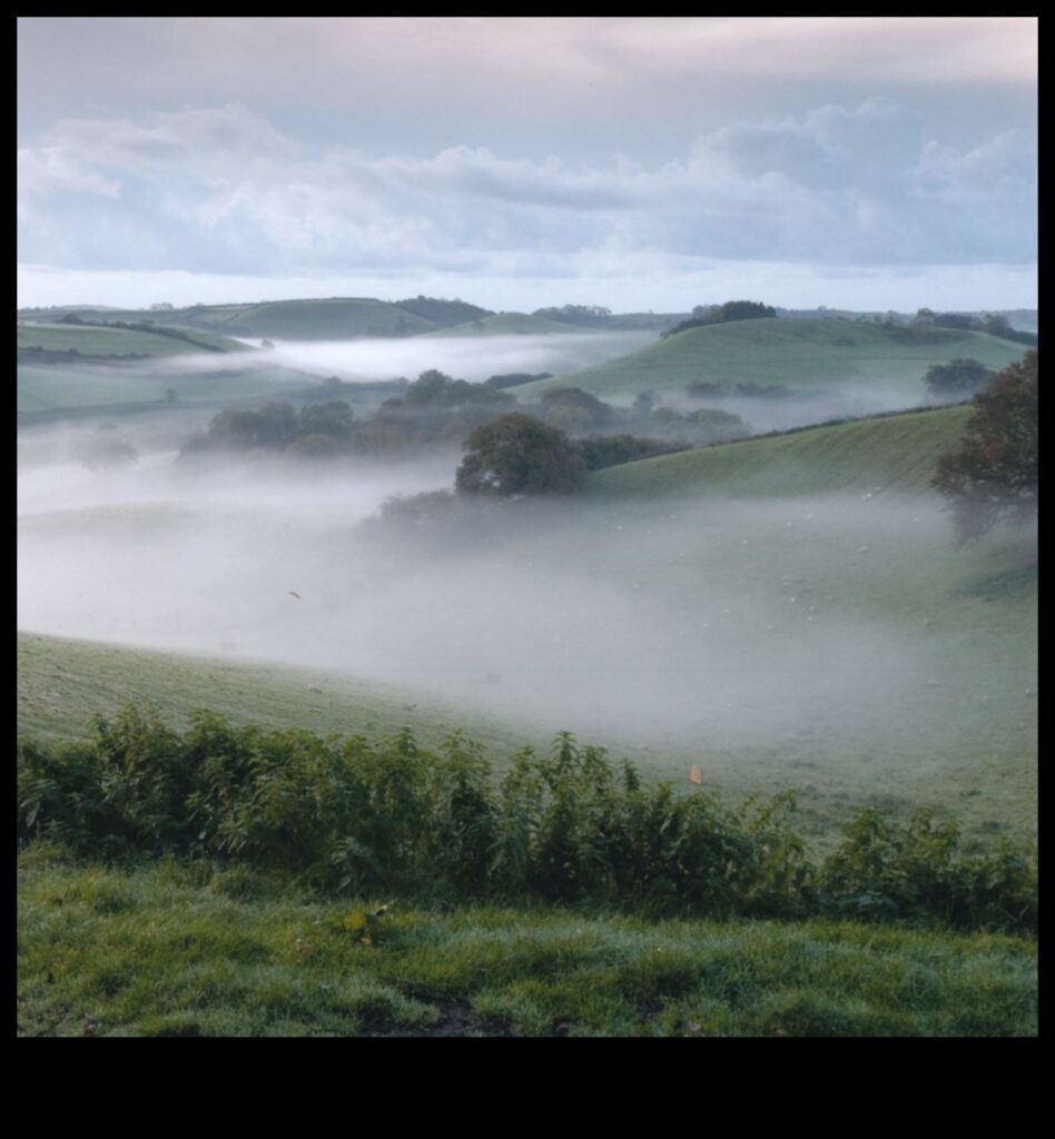 Timeless Landscapes A Look at the World's Most Enduring Vistas 1