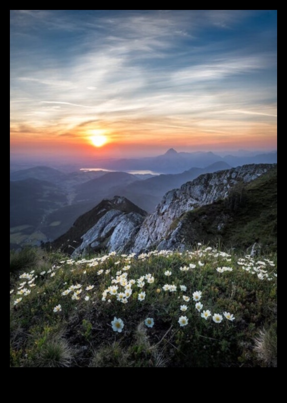 Timeless Views The Beauty of Nature 1