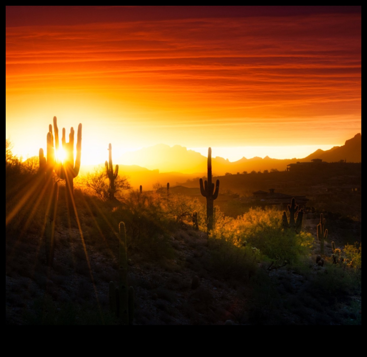 Timeless Terrains: Classic Landscape Photography That Endures Unveiled