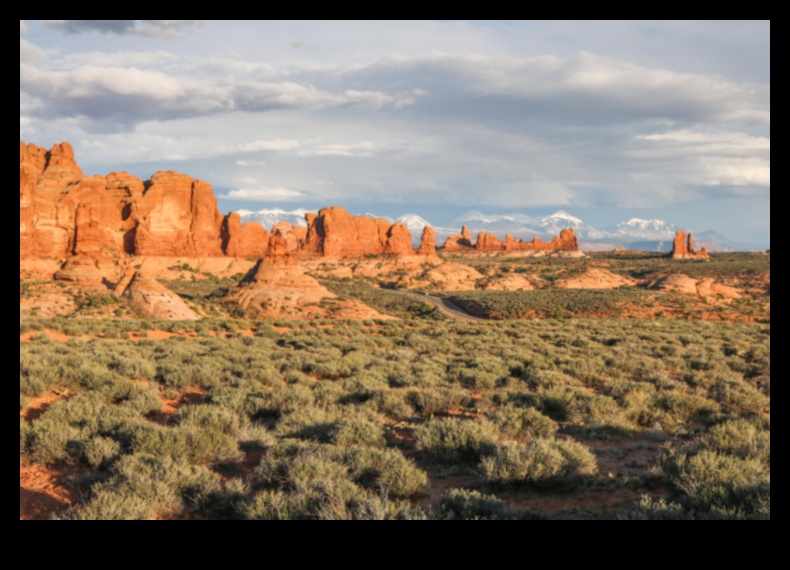 Timeless Terrains: Classic Landscape Photography That Endures Unveiled