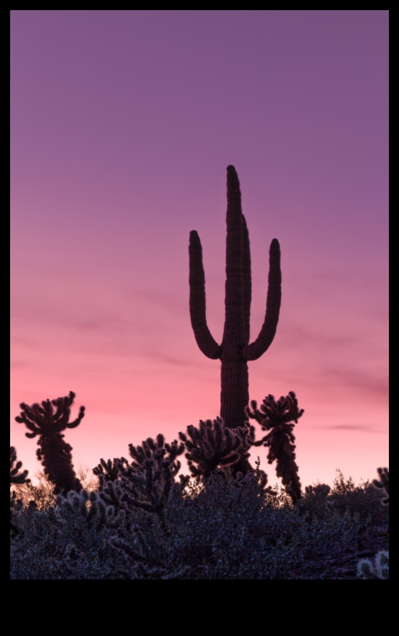 Timeless Terrains: Classic Landscape Photography That Endures Unveiled