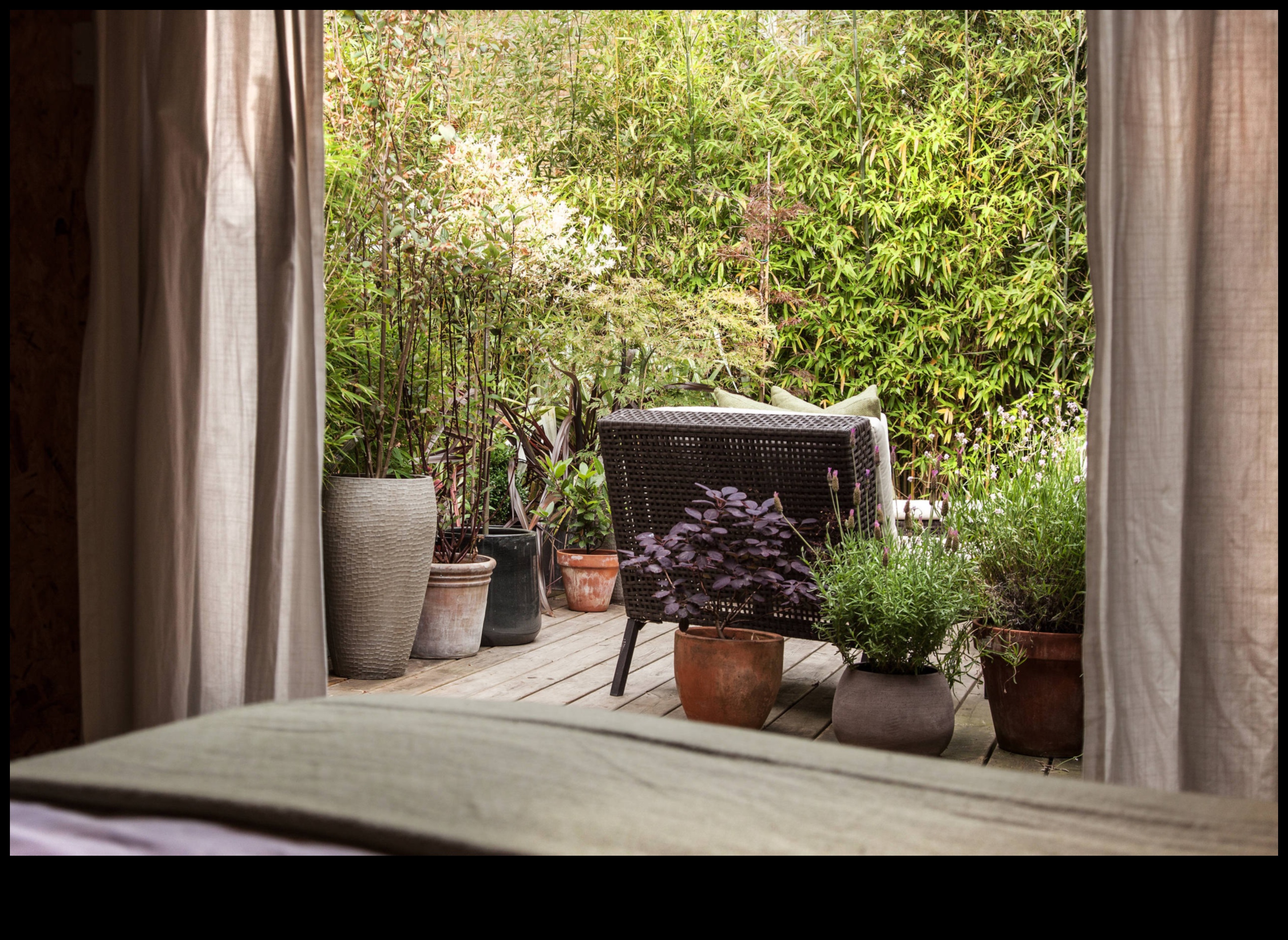 Tiny Terraces, Abundant Blooms: Urban Gardening Bliss