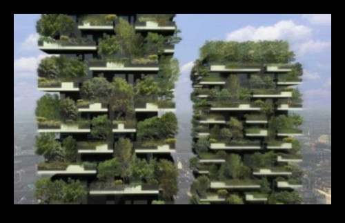 Towering Blossoms: Vertical Gardening Delights