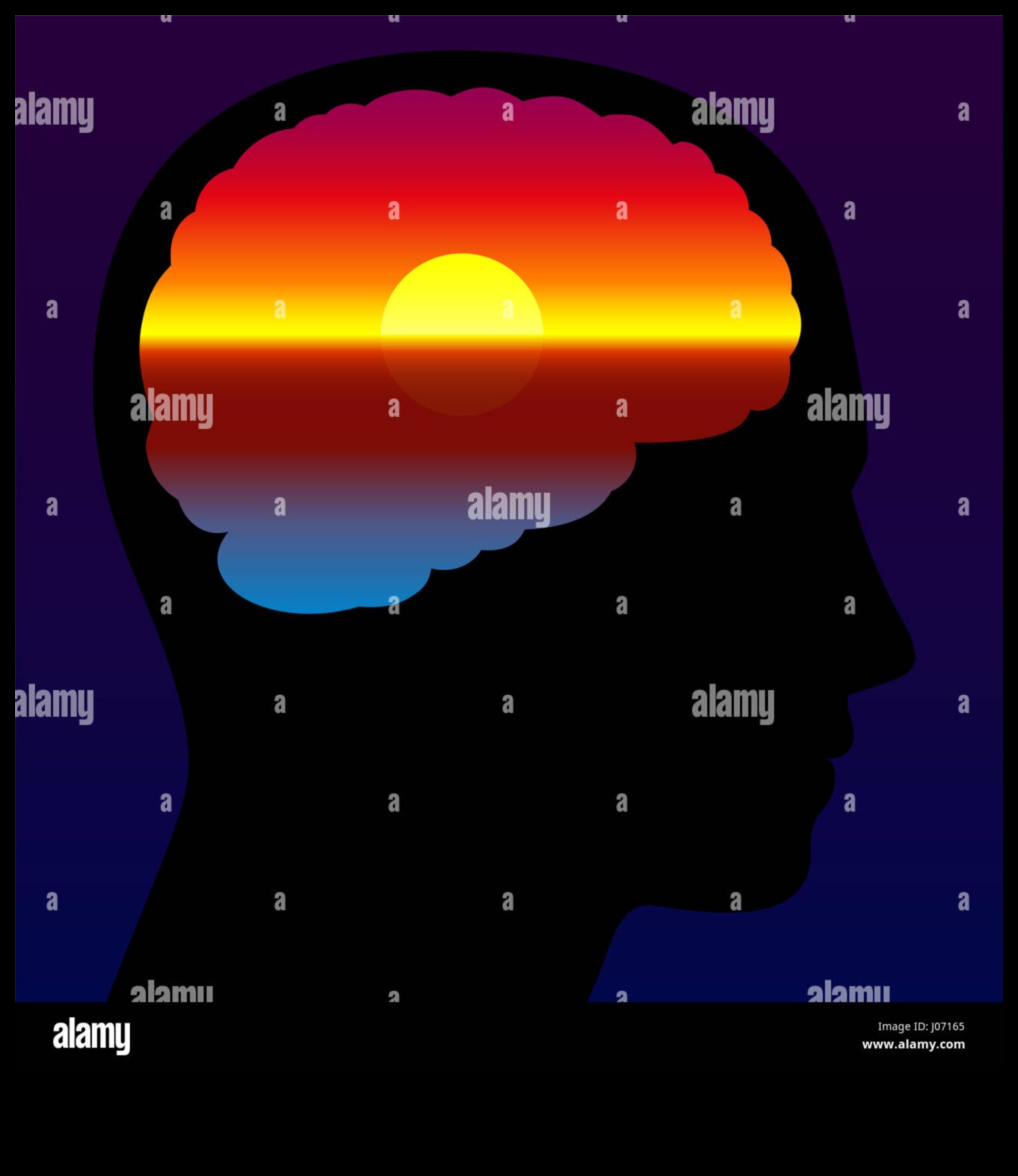 Tranquil Moments: Drawing the Stillness of Objects