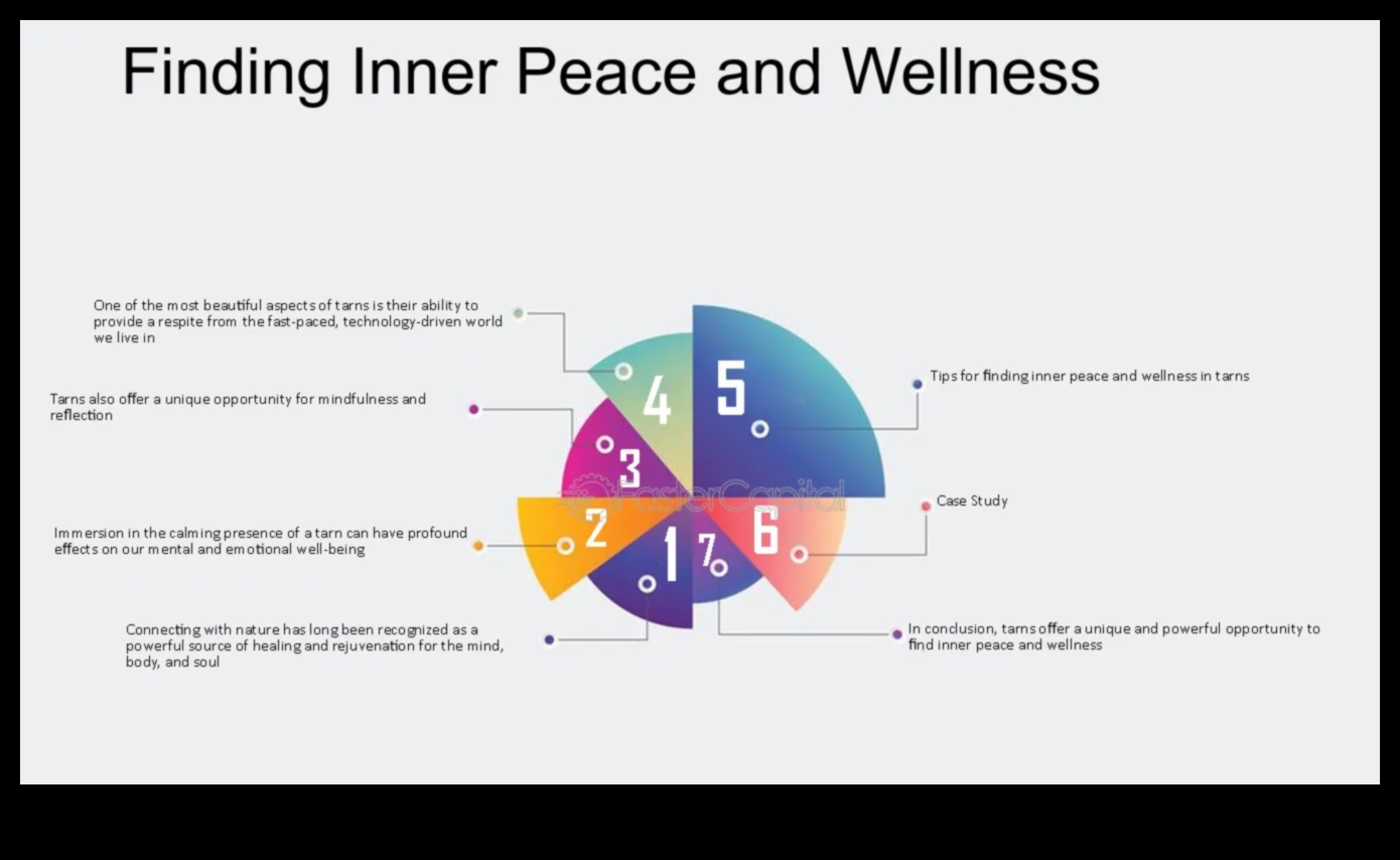 Tranquil Retreats: Discovering Calm and Serene Views