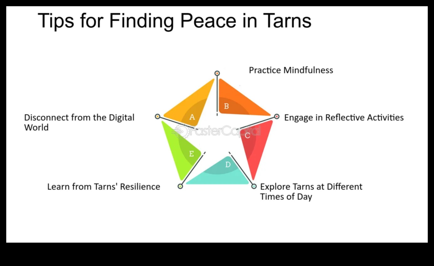 Tranquil Retreats: Discovering Calm and Serene Views