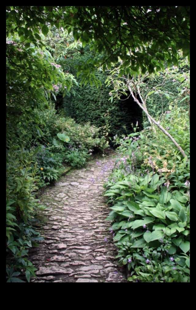 Tranquil Trails: Garden Design Pathways to Bliss