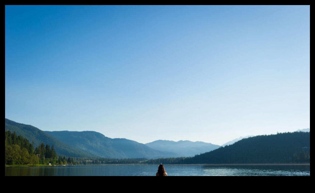 River Rhythms: Tranquil Views and Babbling Streams