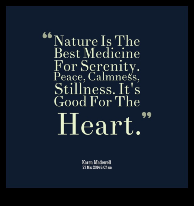 Calm Reflections: Tranquil and Serene Views Explored