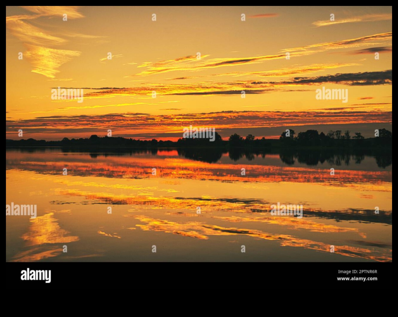 Mirror of Tranquility: Lakes and Ponds in Different Perspectives