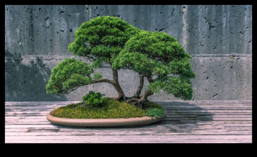 Tranquility in Miniature Bonsai Bliss in Japanese Gardens 1