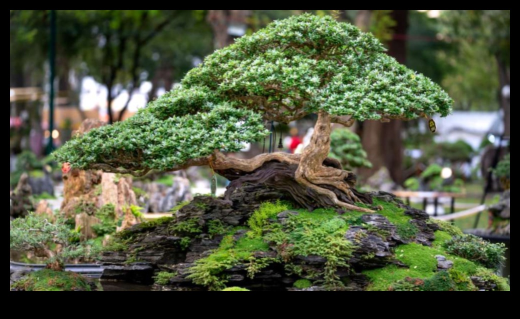 Bonsai Bliss: Miniature Worlds in Japanese Gardens