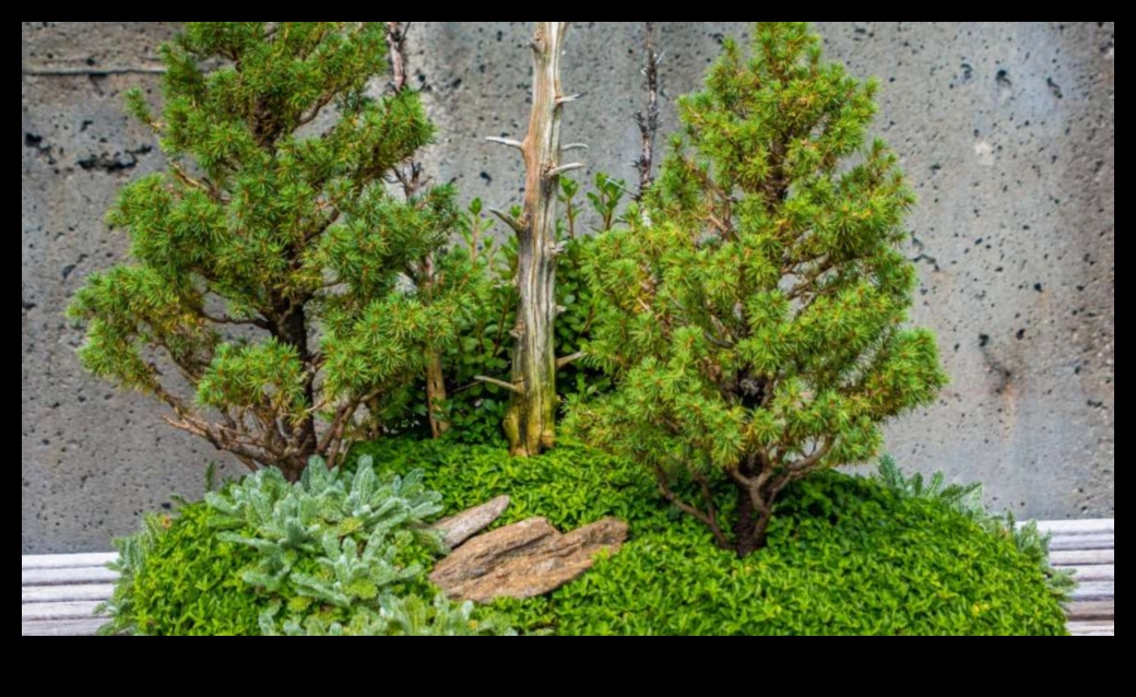 Bonsai Bliss: Miniature Worlds in Japanese Gardens