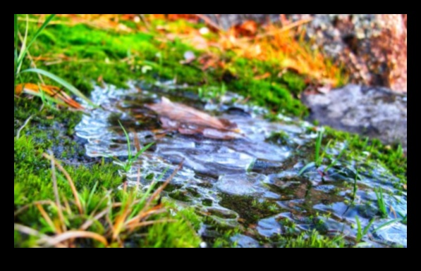 Serenade of Nature: Beautiful Landscapes Singing with Tranquility