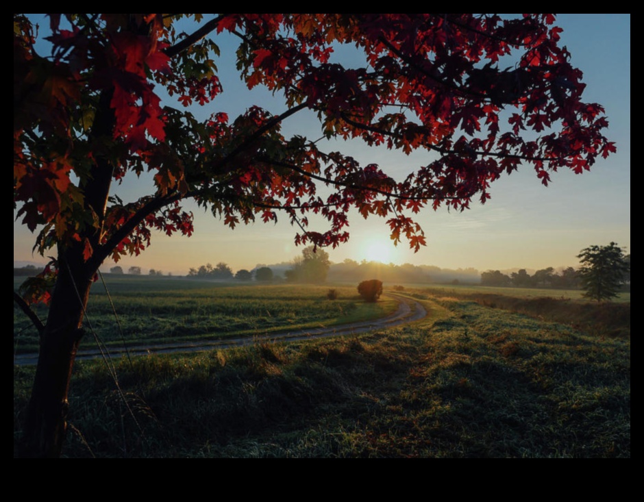 Rural Rhapsody III: Capturing the Essence of Countryside Serenity Again