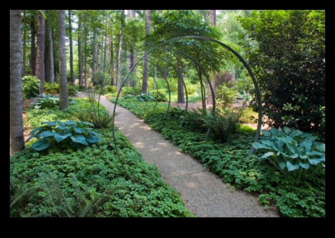 Tranquility in the Landscape 1