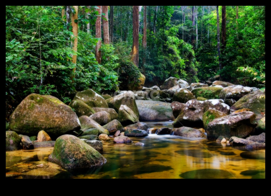 Discovering Eden: A Collection of Lush and Tranquil Landscapes in Every Frame