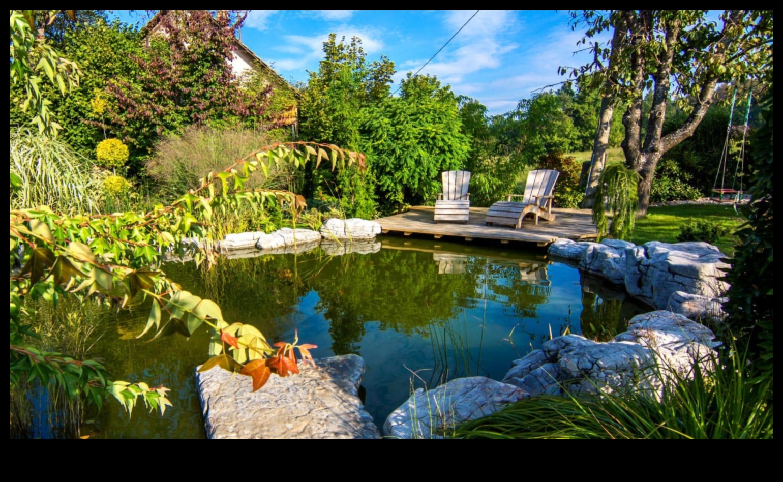 Discovering Eden: A Collection of Lush and Tranquil Landscapes in Every Frame