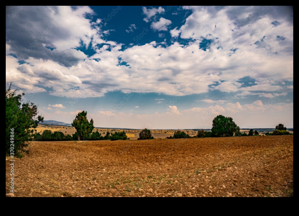 Countryside Euphoria III: Tranquil Rural Scenes Around the World Continued