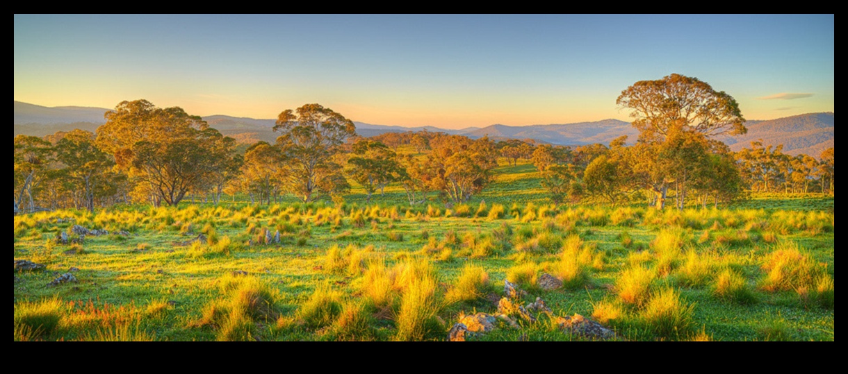 Countryside Euphoria III: Tranquil Rural Scenes Around the World Continued