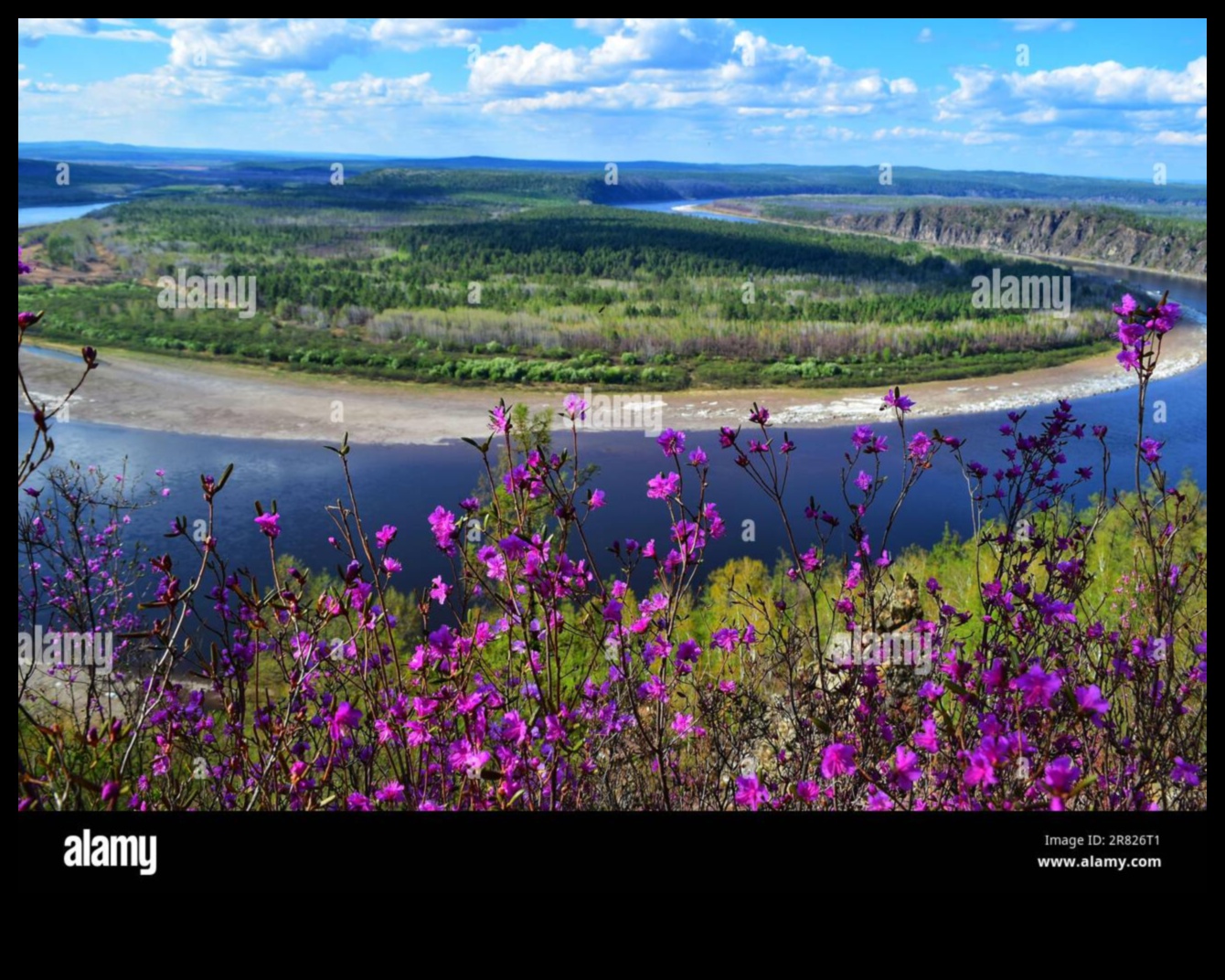 Liquid Poetry: River and Lake Vistas Reimagined