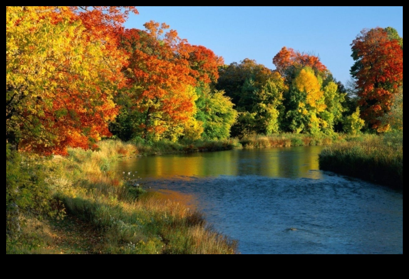 Liquid Poetry: River and Lake Vistas Reimagined