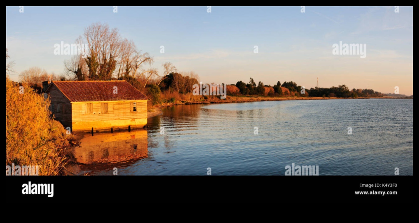 Liquid Poetry: River and Lake Vistas Reimagined