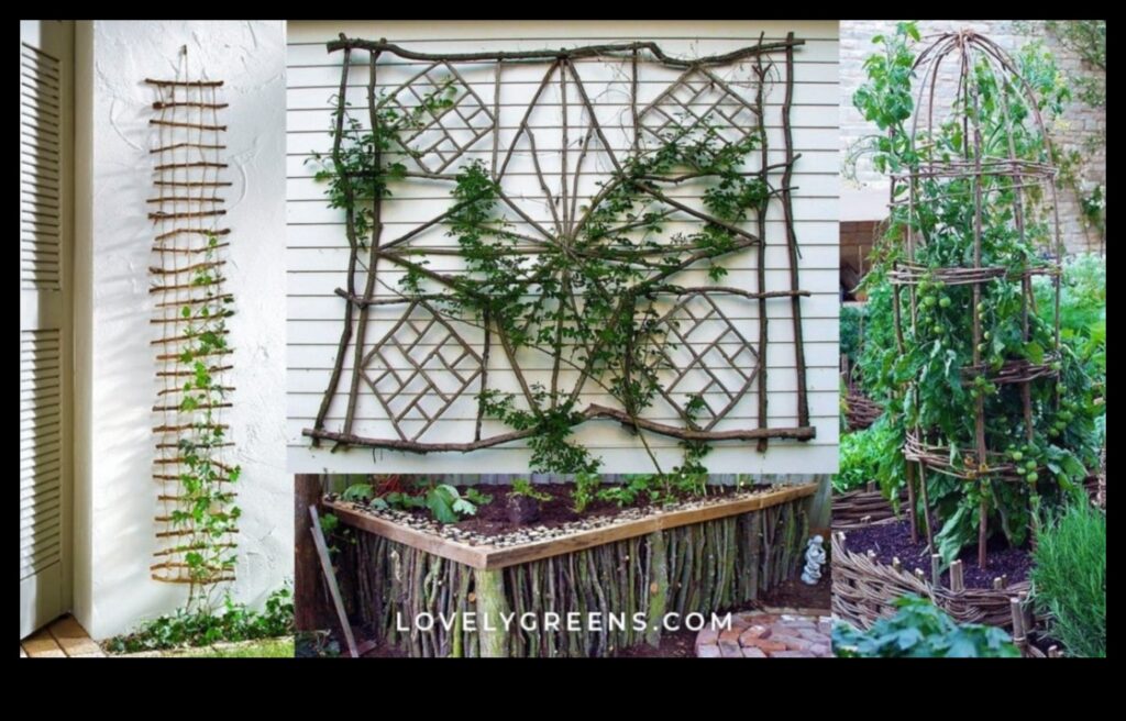 Transformative Trellises 30+ DIY Projects to Beautify Your Home 1