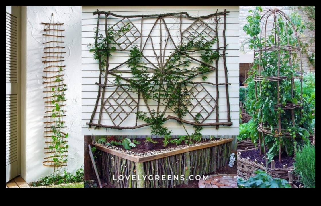 Transformative Trellises: Impressive DIY Inspirations